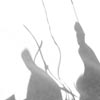 Выступление «Девять» на летнем фестивале «Космофест» в Боровске (вид за сценой). Фотограф: Ника Дорофеева. 09.07.2011.